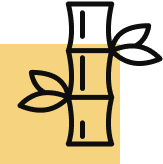 Group-11.png - Jaisalmer Desert Safari & Camp