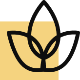 Group-31.png - Jaisalmer Desert Safari & Camp