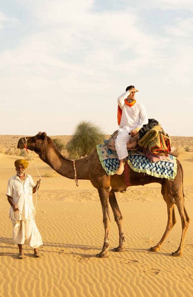 camel - Jaisalmer Desert Safari & Camp